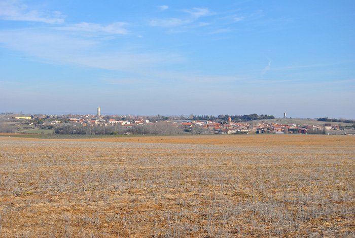 Paisaje Tierra del Vino