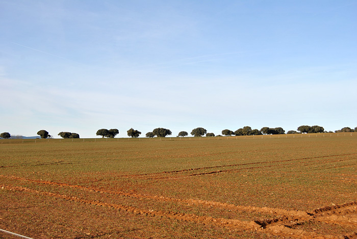 Paisaje