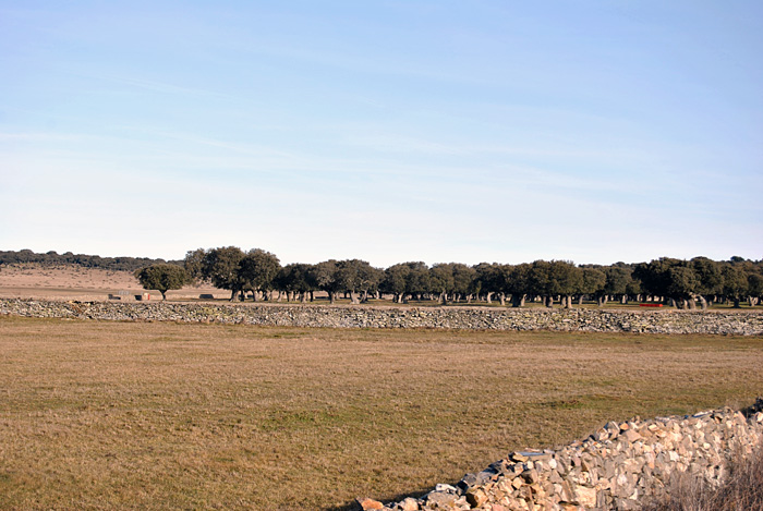 Paisaje