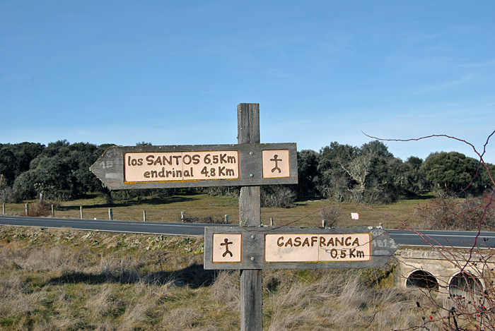 Seaizacin