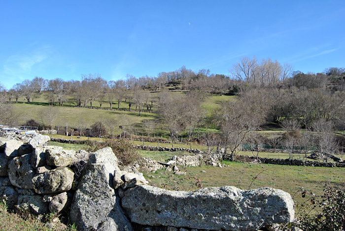 Paisaje