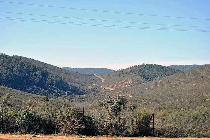 Paisaje de Monfrage
