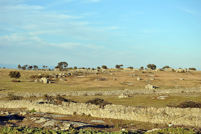 Huerta de nimas