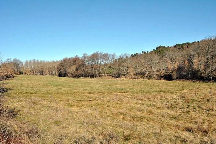 Paisaje