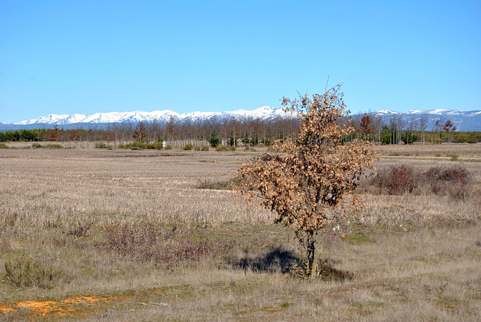 Paisaje