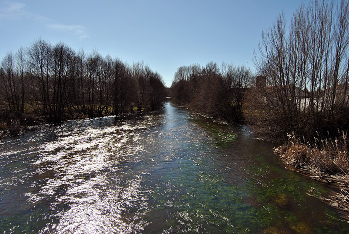 Ro Tuerto