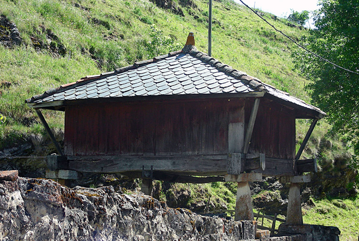 Hrreo
